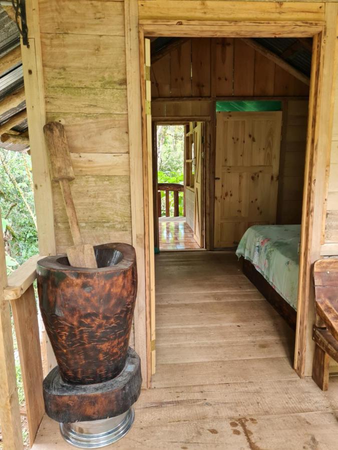 San Ramon  Cabana Maquique - San Vitoヴィラ エクステリア 写真