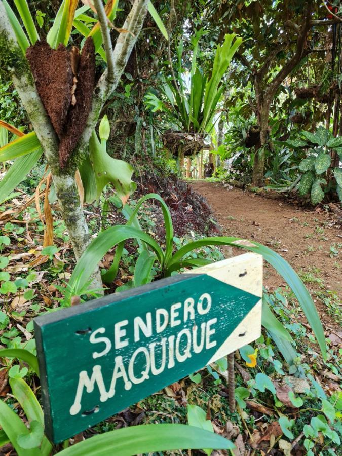 San Ramon  Cabana Maquique - San Vitoヴィラ エクステリア 写真