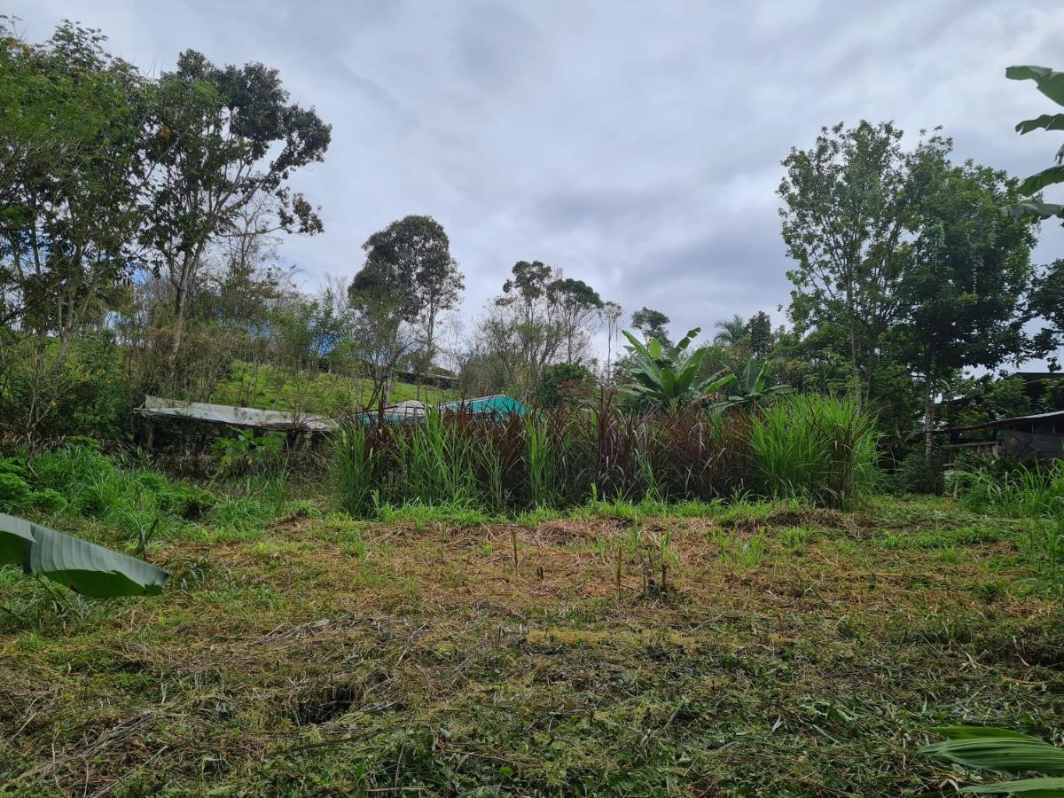 San Ramon  Cabana Maquique - San Vitoヴィラ エクステリア 写真